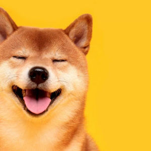 Meet your Posher, Runze